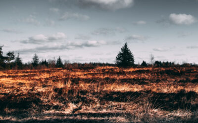 Cómo prevenir incendios en verano o temporadas de calor