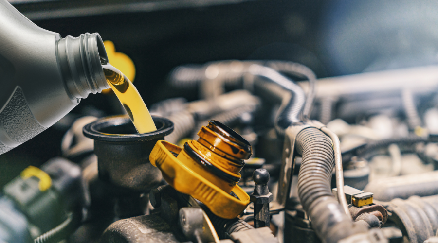 absorbentes de mantenimiento