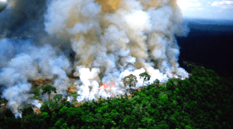 BLOG-ABC-INCENDIOSAMBIENTALES Incendios Ambientales