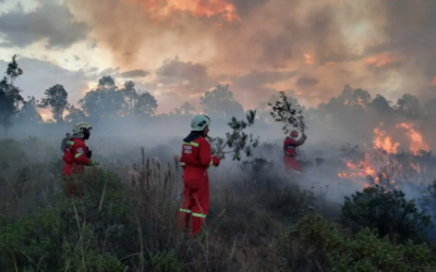 Amenazas de incendio más frecuentes en Perú