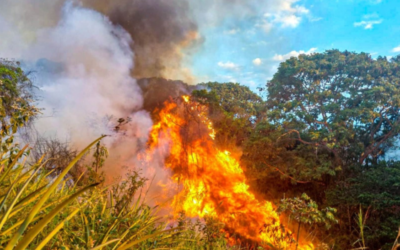 Riesgos de incendios agrícolas en Ica